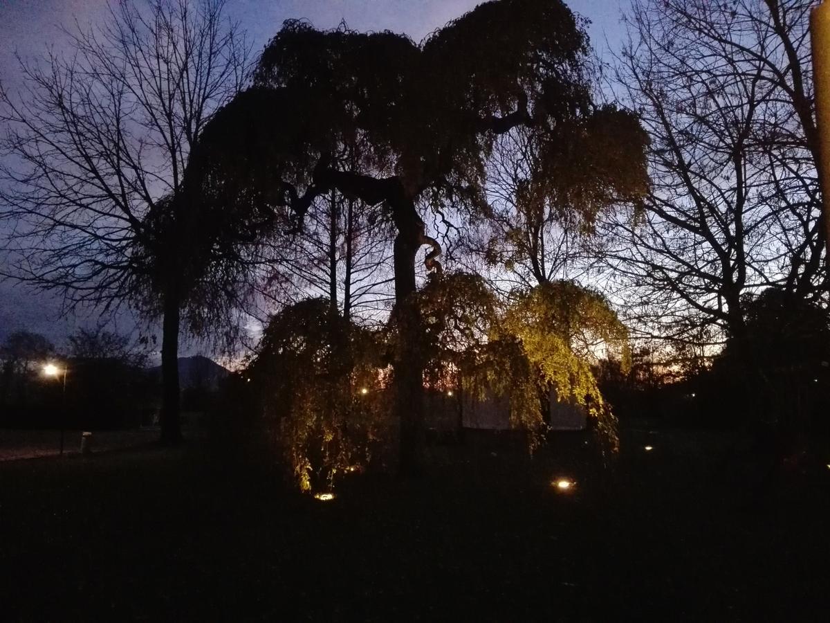 Agriturismo La Sophora Montegaldella Kültér fotó